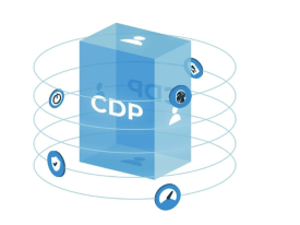 Customer Data Platform (CDP)