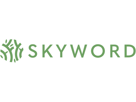 Skyword