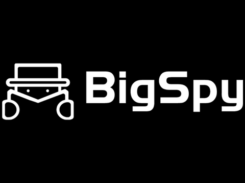 Big Spy